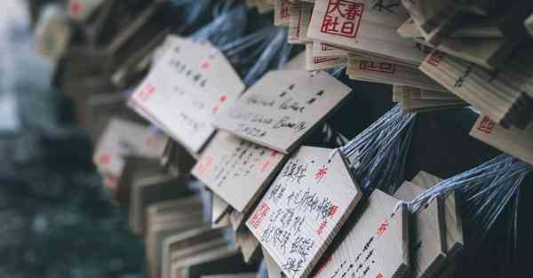 专升本免费教学视频四川